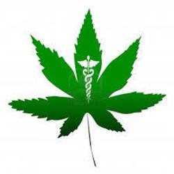 Logo thumbnail