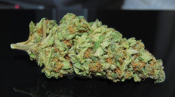 banana kush cannabis pics