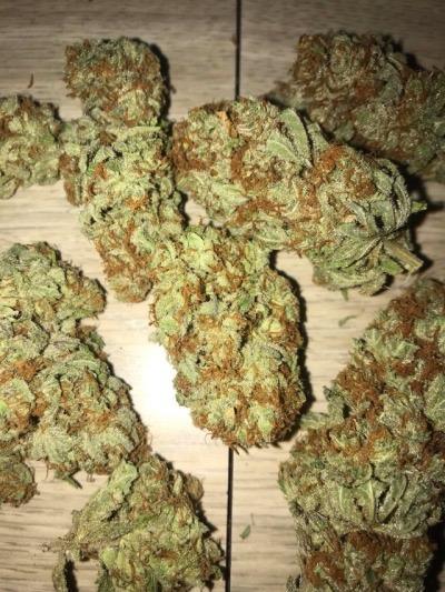 bruce banner auto cannabis pics