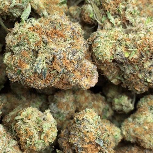 girl scout cookies cannabis pics
