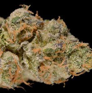 girl scout cookies cannabis pics
