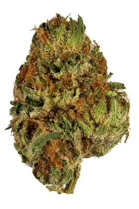 og kush breath cannabis pics
