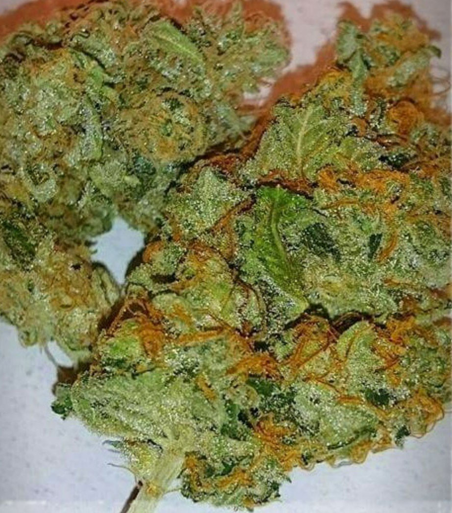 strawberry gorrila Marijuana Pics