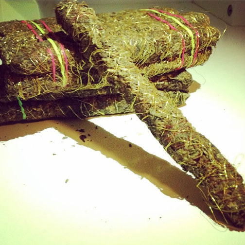 thai stick Marijuana Pics