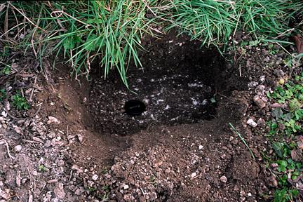 soil photo chalk pit