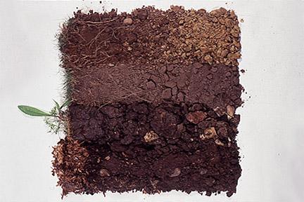 soil photo types