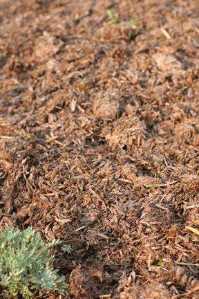 manure mulch photo