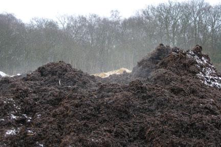 Compost photo