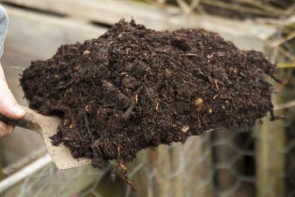 garden compost photo