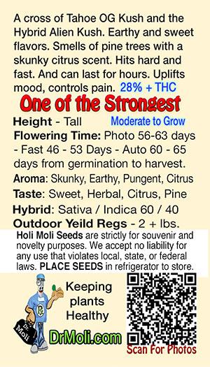 alien og reg holi moli card pic back