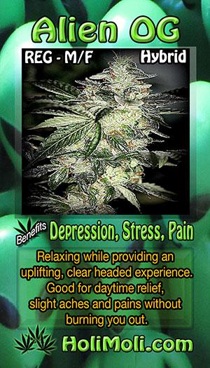 alien og reg holi moli card pic front