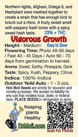 black domina auto auto holi moli card pic back