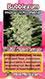 Bubblegum marijuana Card Pic