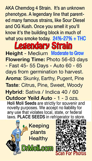 chemdawg auto holi moli card pic back