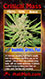 Holi Moli marijuana Card Pic