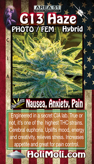 g13 haze holi moli card pic front