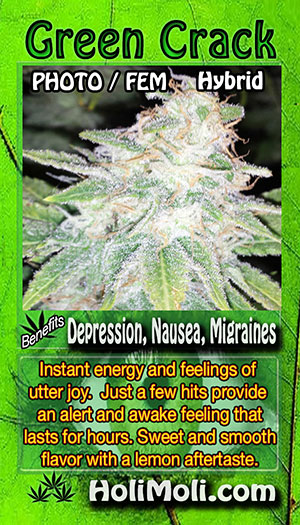 green crack card pic front