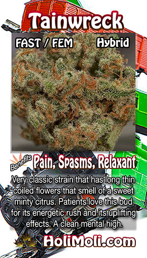 trainwreck fast holi moli card pic front