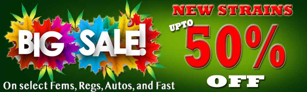 banner for current 50% off sale on select marijuana seeds