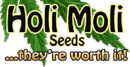 HoliMoli logo