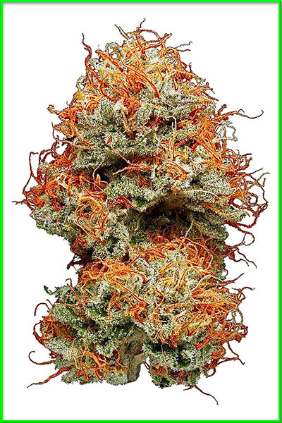 Hellfire OG cannabis strain photo