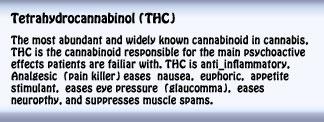 thc information photo