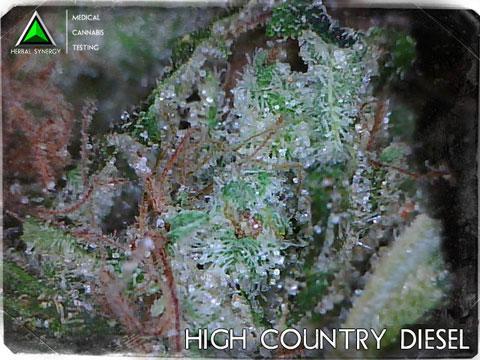 High Country Diesel 2