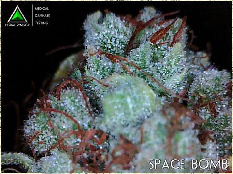 Space Bomb