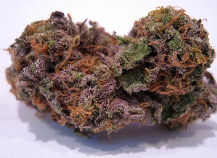 Super Grand Daddy Purple