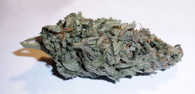 Supreme Blue Dream