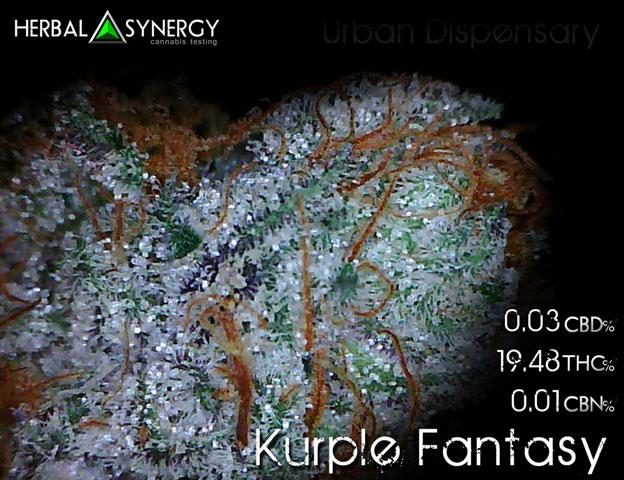 Kurple Fantasy