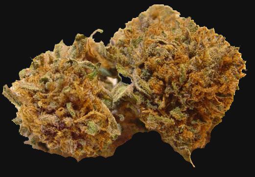 Black Magic Kush