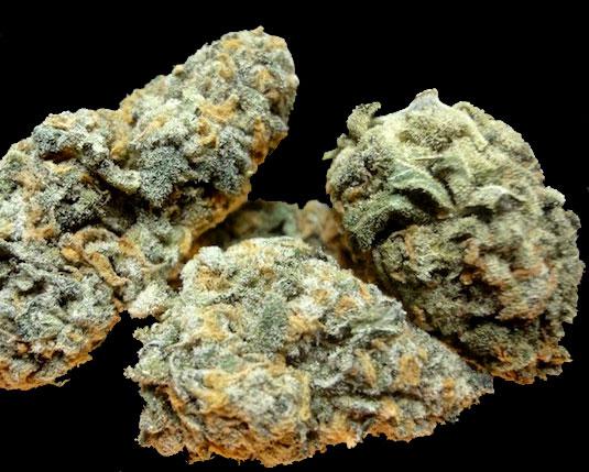 Green Dream