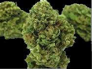 Greenhouse OG