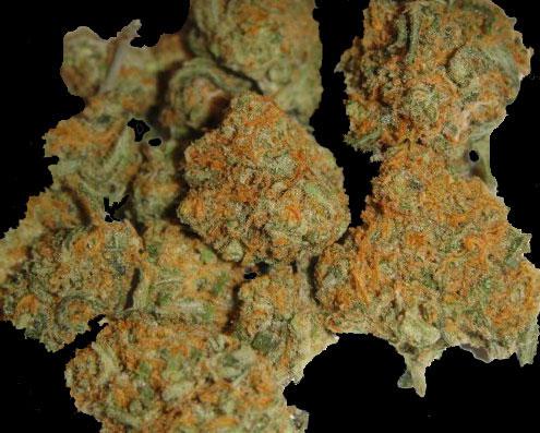 Island Maui Haze