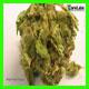 strain thumbnail