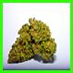 strain thumbnail