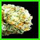 strain thumbnail