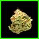 strain thumbnail