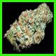strain thumbnail