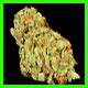 strain thumbnail